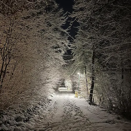 Alpesi faház Boszicht