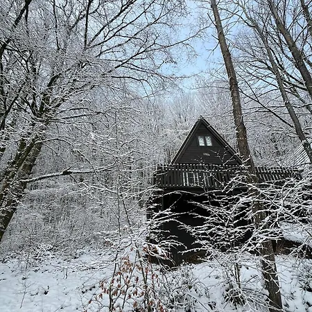 Chalet Boszicht *