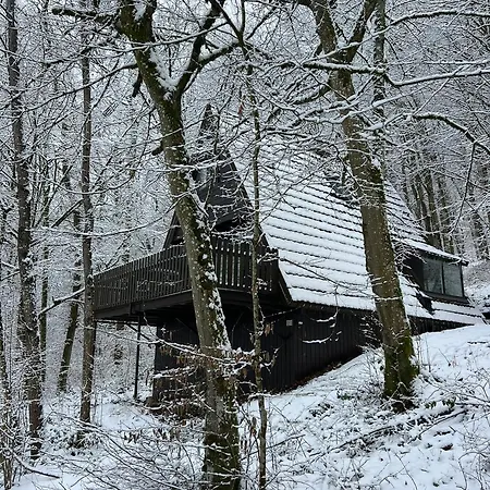Chalet Boszicht Durbuy