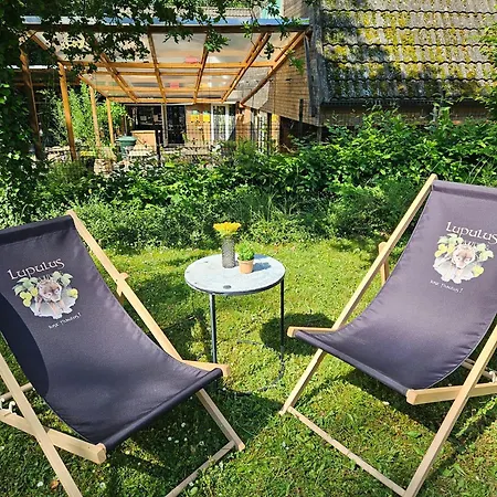 Boszicht *