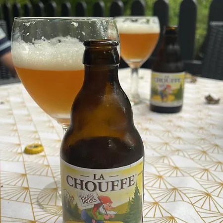 Boszicht Alpesi faház