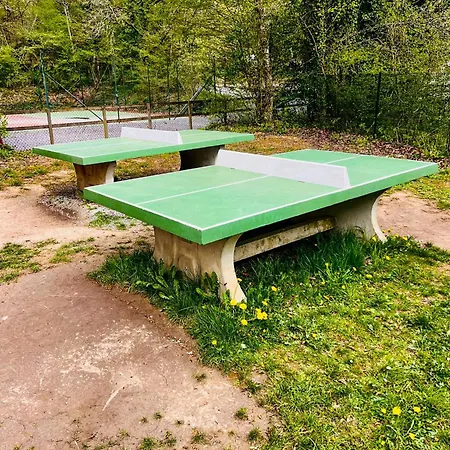 Boszicht